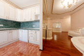VIP apartment for rent in St. Petersburg on Nevsky 79